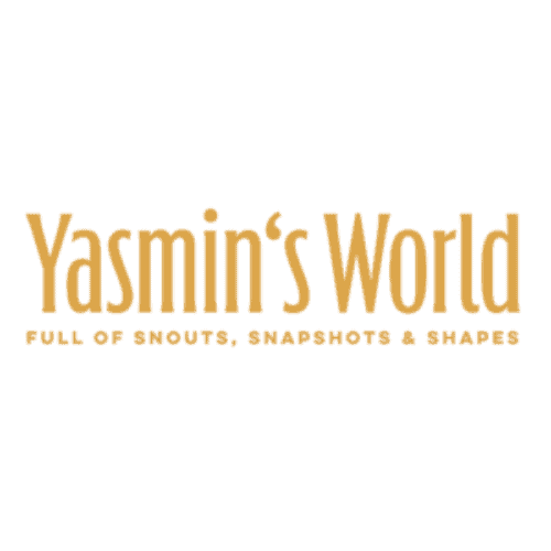 Yasmin's World